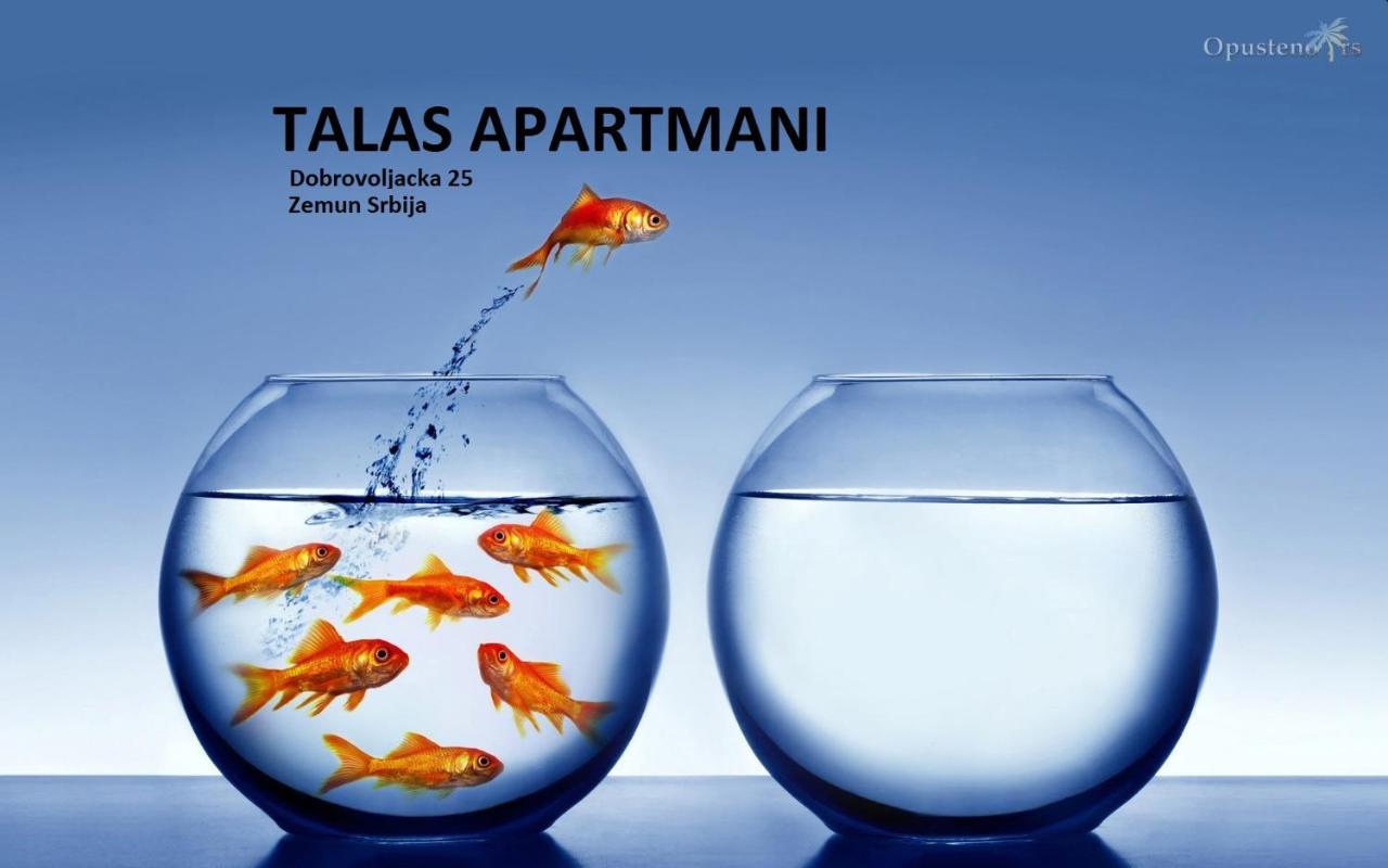 Talas Apartmani Belgrad Exterior foto